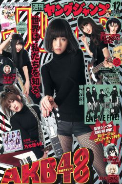严厉寒宋襄小说免费阅读全文无弹窗